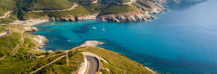 Corse sauvage